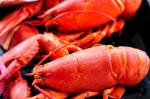 Palom-Aquaculture-Maine-Lobster-Red.jpg