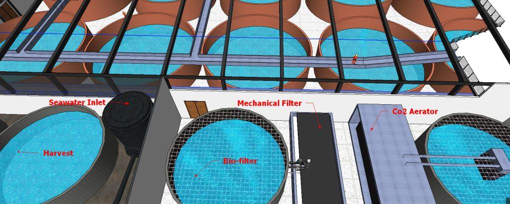 Land Based Salmon Farming- Water flow schema of the system proposed by Palom Aquaculture.