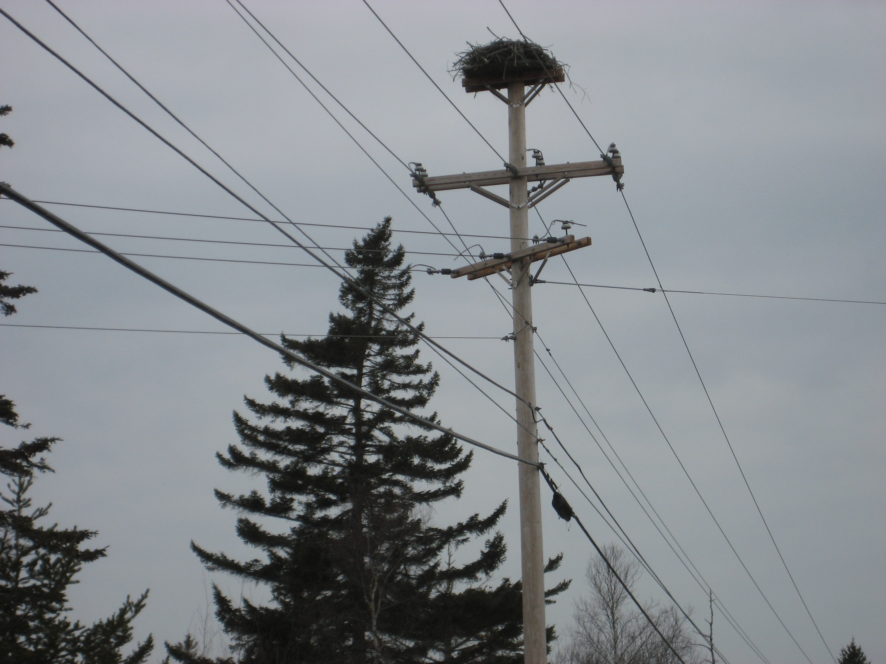 3 Phase Power Poles