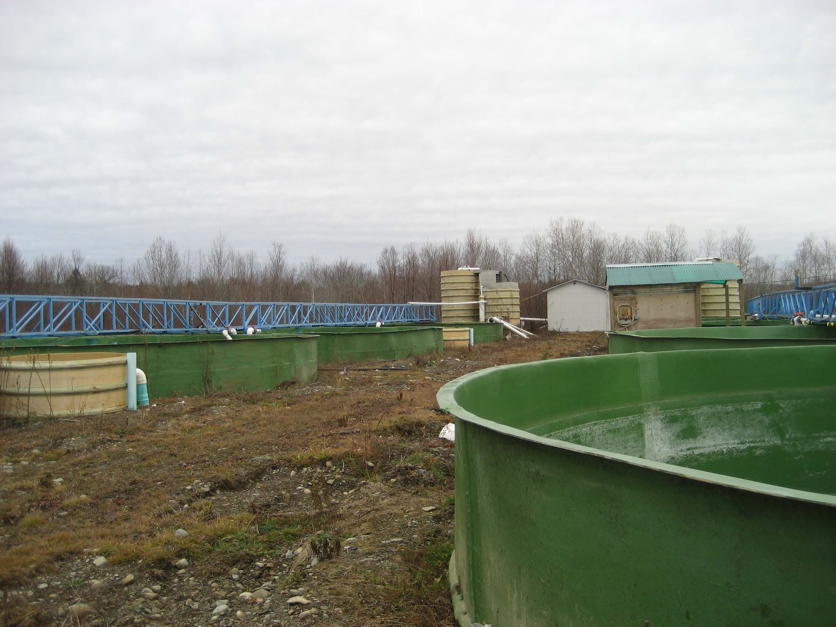 Palom Aquaculture recirculating aquaculture system, outdoor fiberglass tanks. Side view.