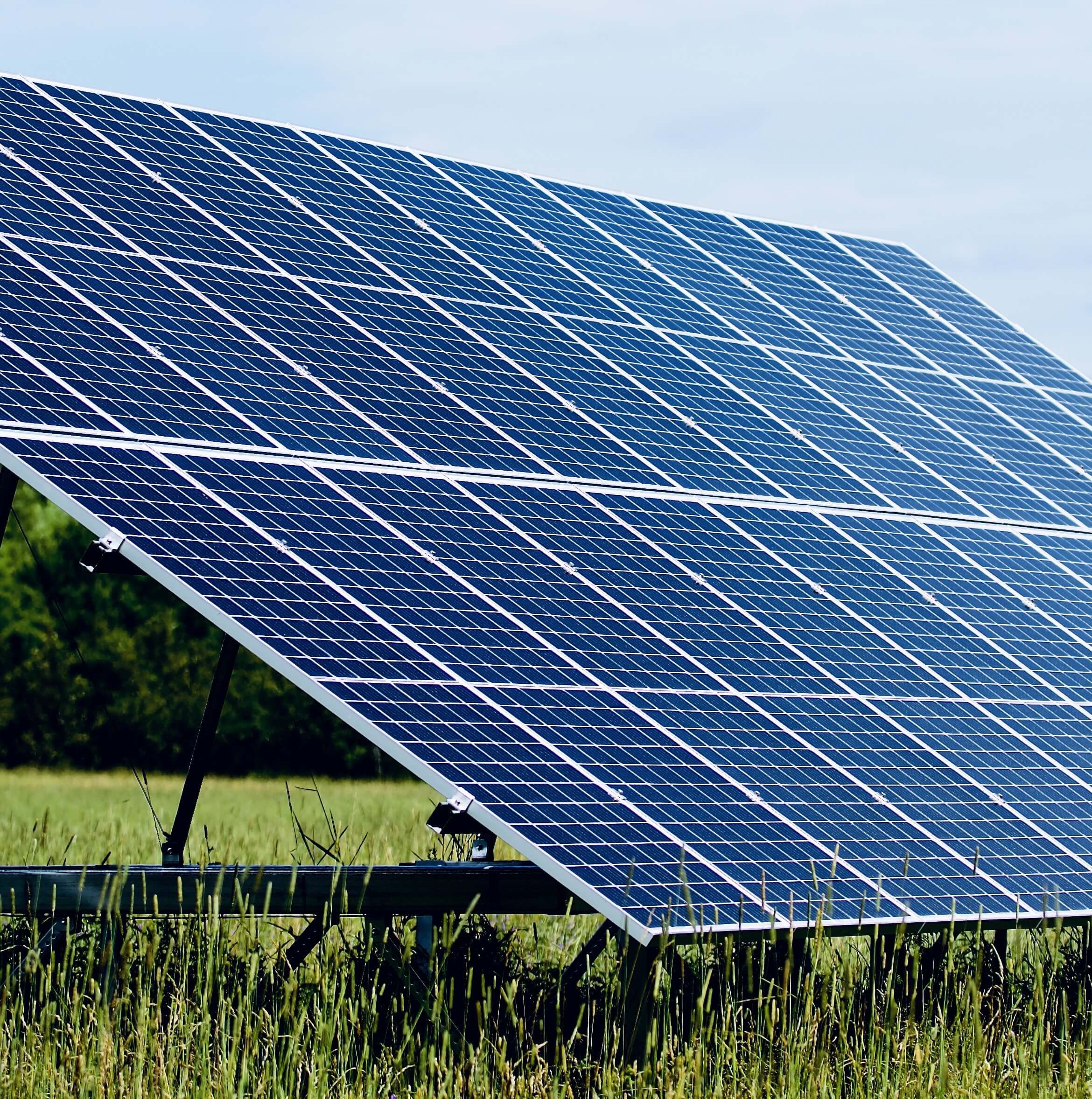 Palom Aquaculture Solar Panel Ground Installation