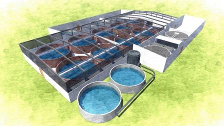 Recirculating Aquaculture - Birds Eye View of Palom Aquaculture's RAS, Cut Out Rendering