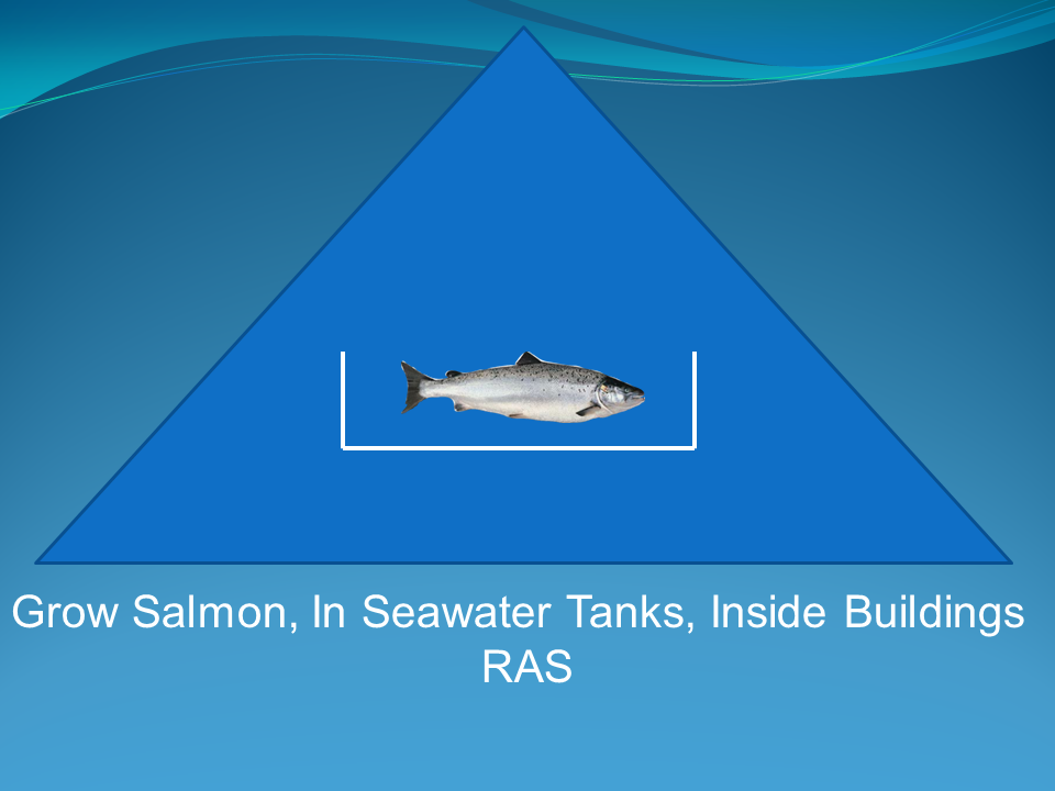 Recirculating Aquaculture Systems - Comparison To Net Pen Systems