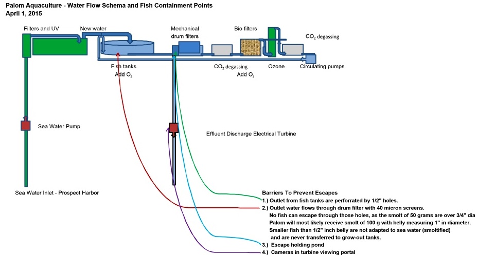 Land Based Salmon Farming- Water flow schema of the system proposed by Palom Aquaculture.
