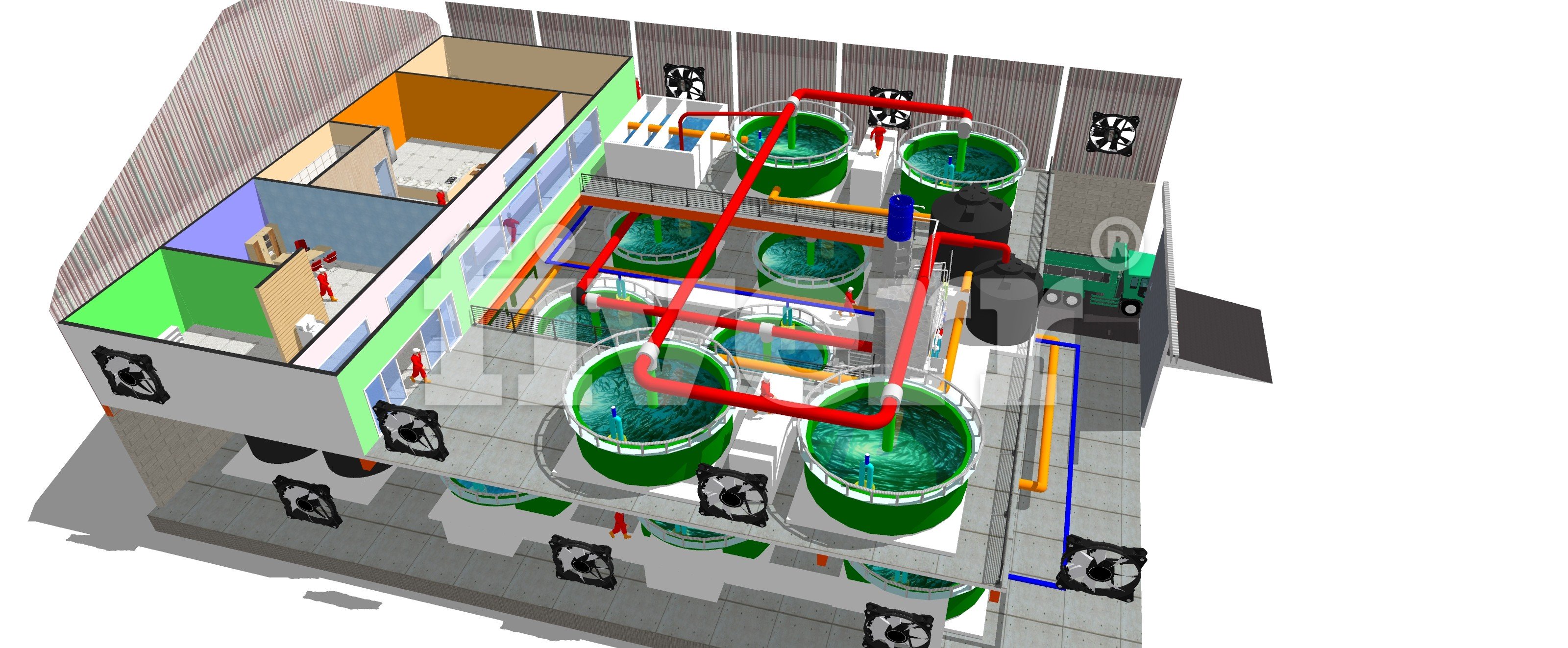 Palom Aquaculture, Recirculating Aquaculture System, Proposed Hatchery Post Smolt Layout